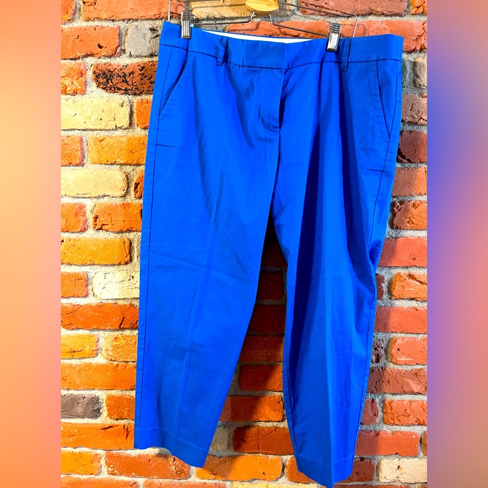 J. Crew Blue Ankle Pants